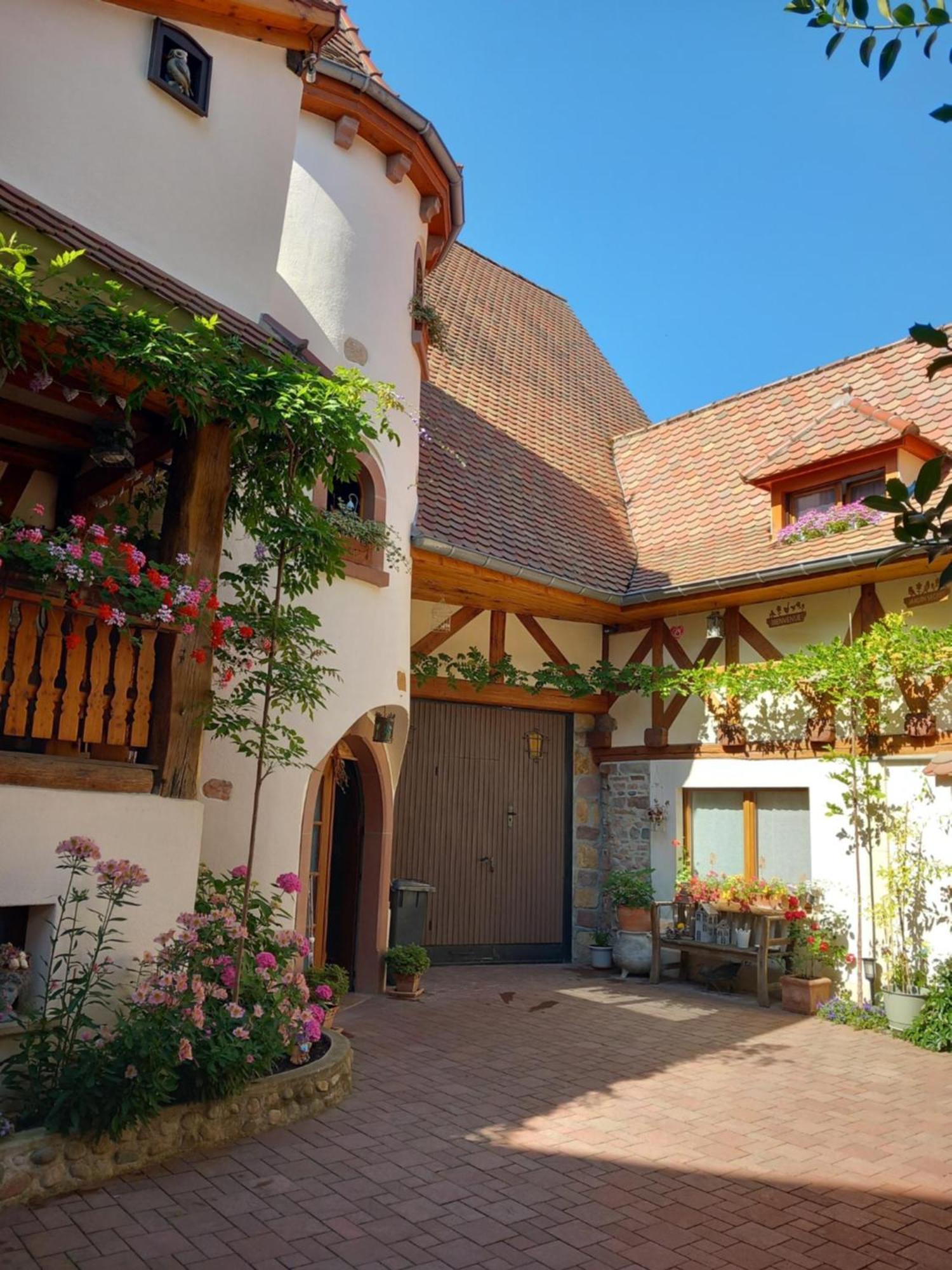 Chambres Suite D'Hote Divine Providence Wintzenheim Dış mekan fotoğraf